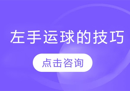 篮球协调训练的成功案例分析_0